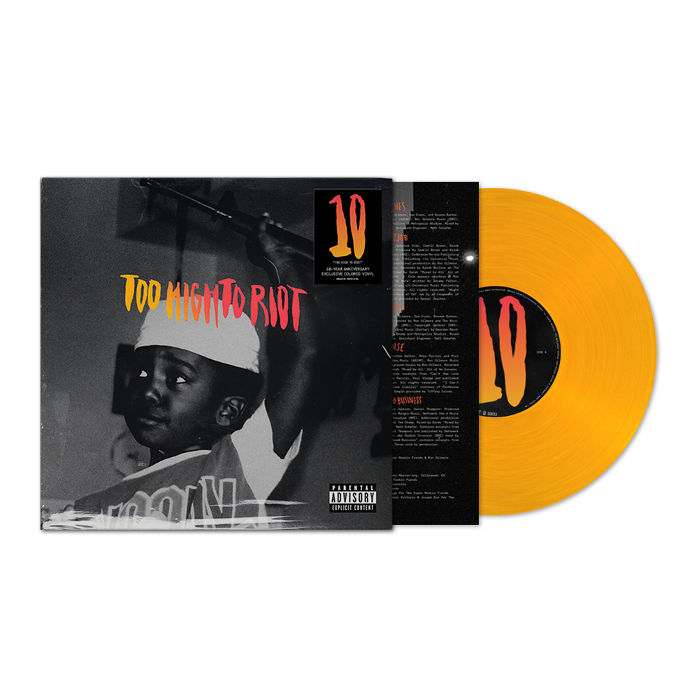 TOO HIGH TO RIOT [10 ANNIVERSARY LIMITED EDITION SUNSET GLASS VINYL]